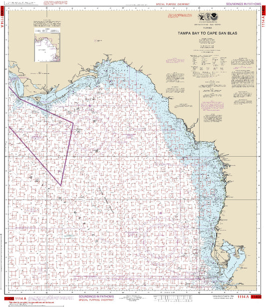 Tampa Bay to Cape San Blas (Oil and Gas Leasing Areas) (1114A) by NOAA