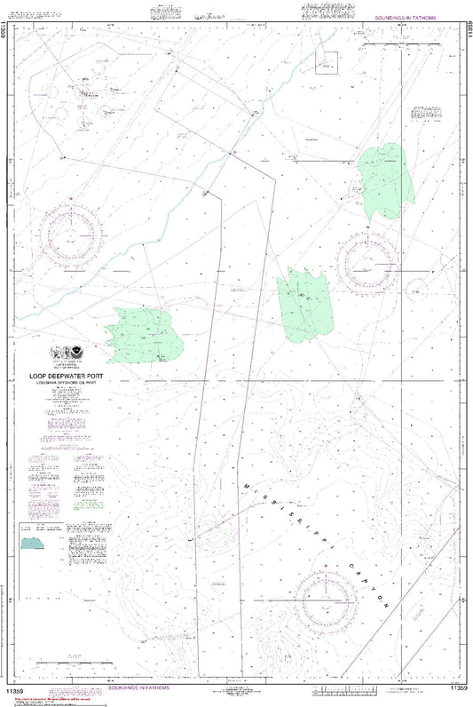 Loop Deepwater Port (11359) by NOAA