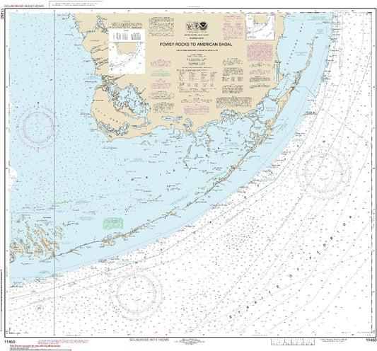Fowey Rocks to American Shoal (11450) by NOAA