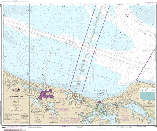Cape Henry to Thimble Shoal Light (12254) by NOAA