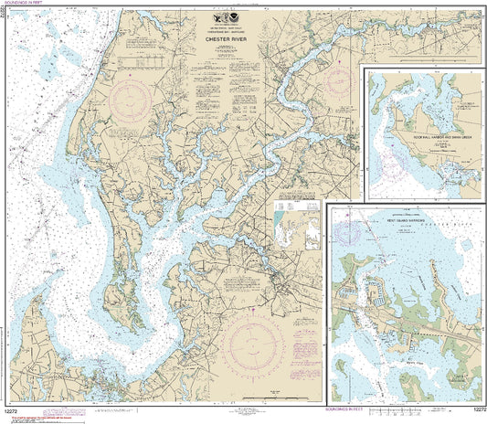 Chester River (12272) by NOAA