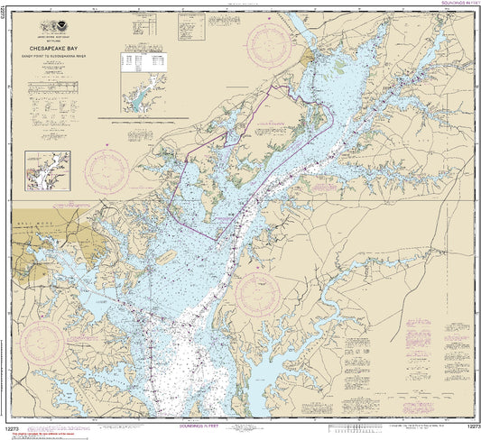 Chesapeake Bay - Sandy Point to Susquehanna River (12273) by NOAA