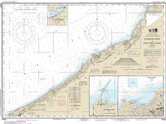 Sturgeon Point to Twenty Mile Creek (14823) by NOAA