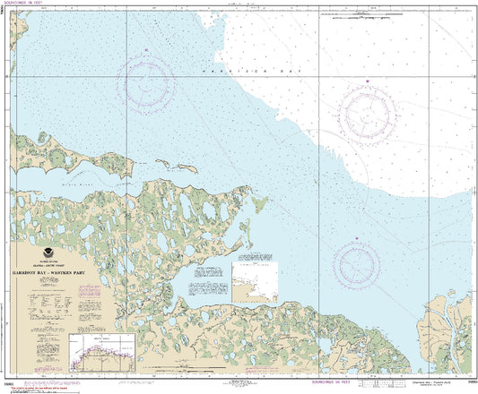 Harrison Bay - Western Part (16064) by NOAA