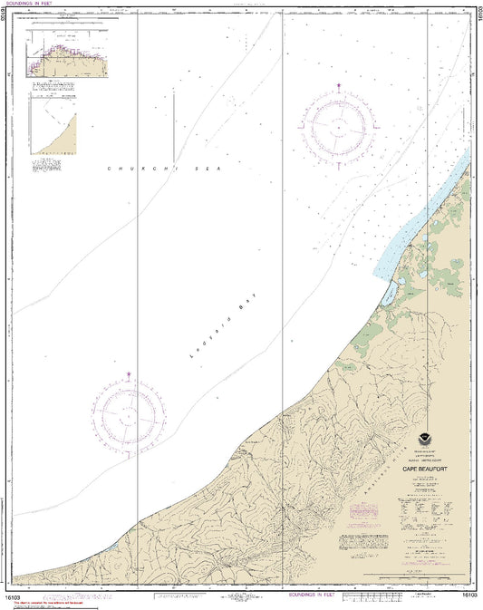 Cape Beaufort Alaska Arctic Coast (16103) by NOAA