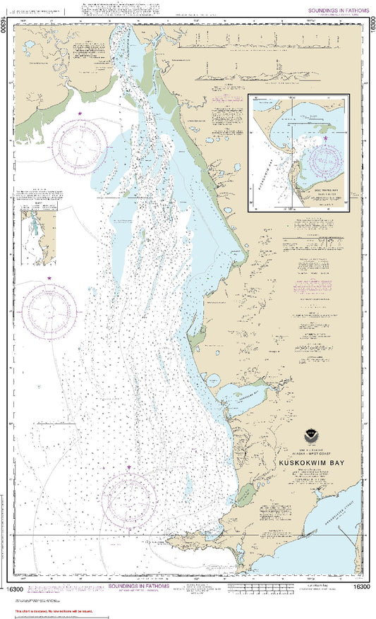Kuskokwim Bay (16300) by NOAA