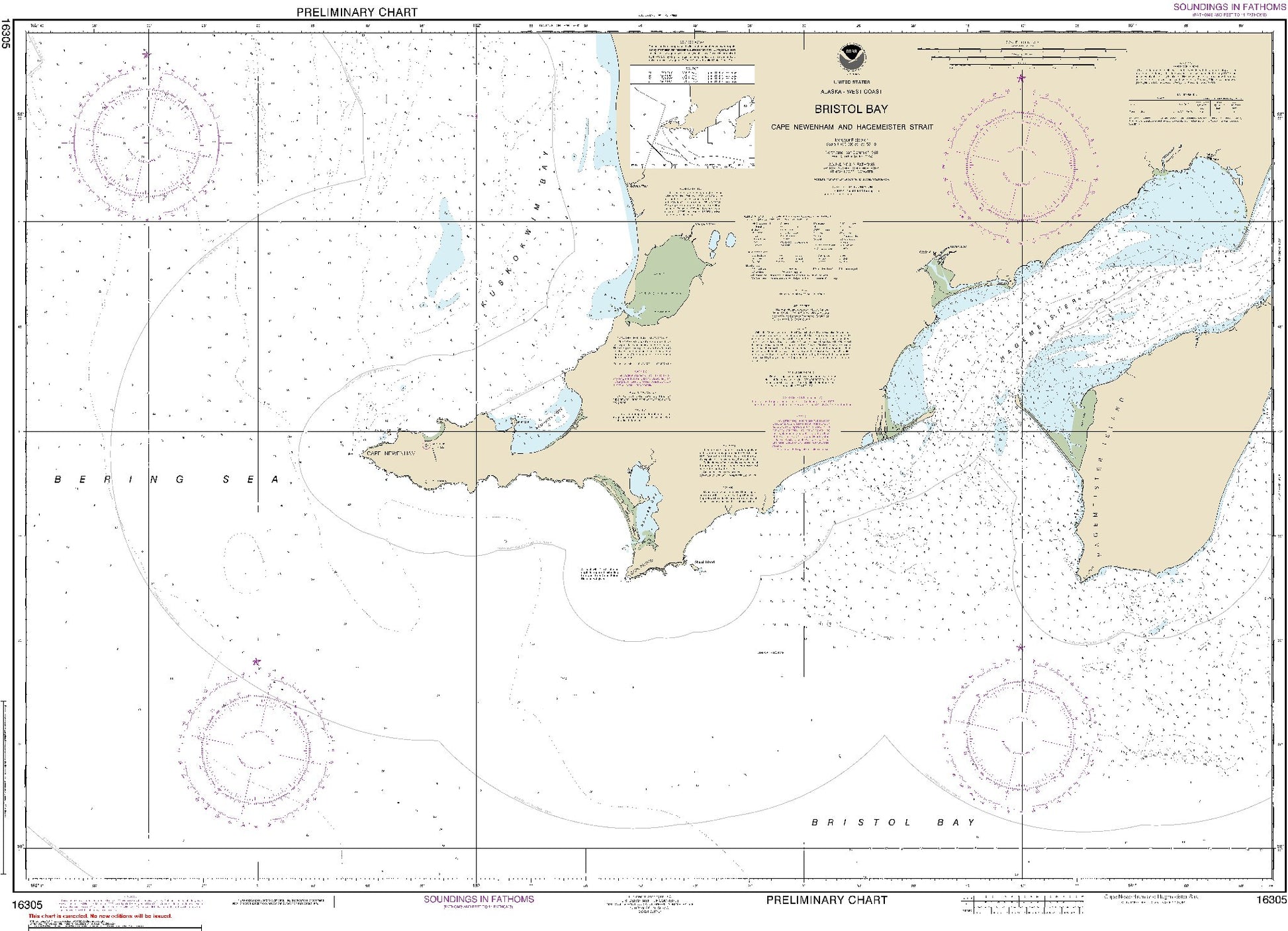 Bristol Bay - Cape Newenham and Hagemeister Strait (16305) by NOAA