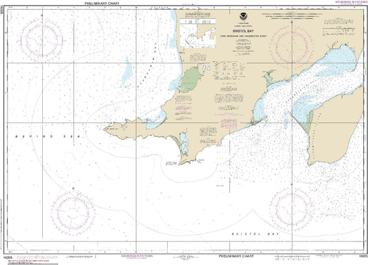 Bristol Bay - Cape Newenham and Hagemeister Strait (16305) by NOAA