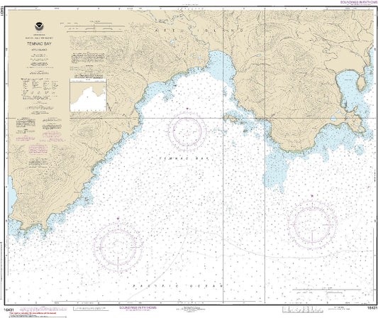 Temnac Bay (16431) by NOAA