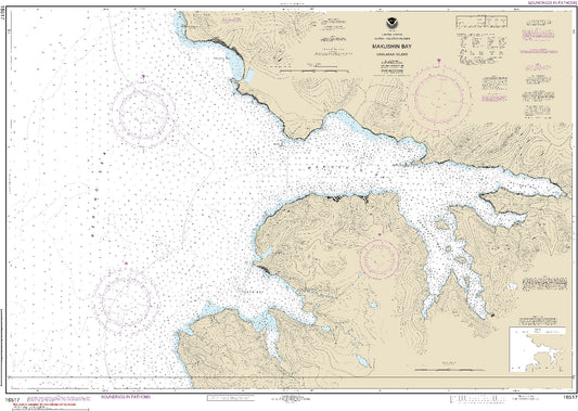 Makushin Bay (16517) by NOAA