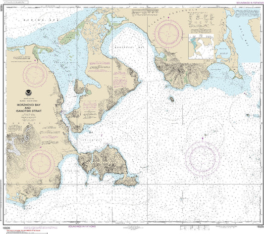 Morzhovoi Bay and Isanotski Strait (16535) by NOAA