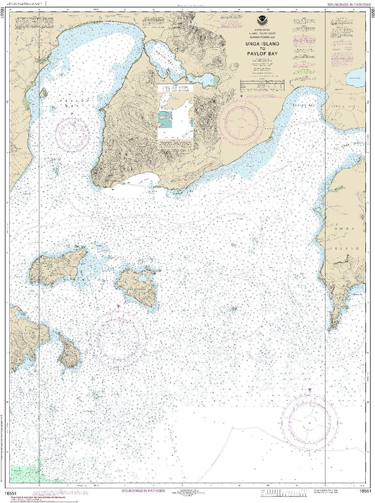Unga Island to Pavlof Bay (16551) by NOAA
