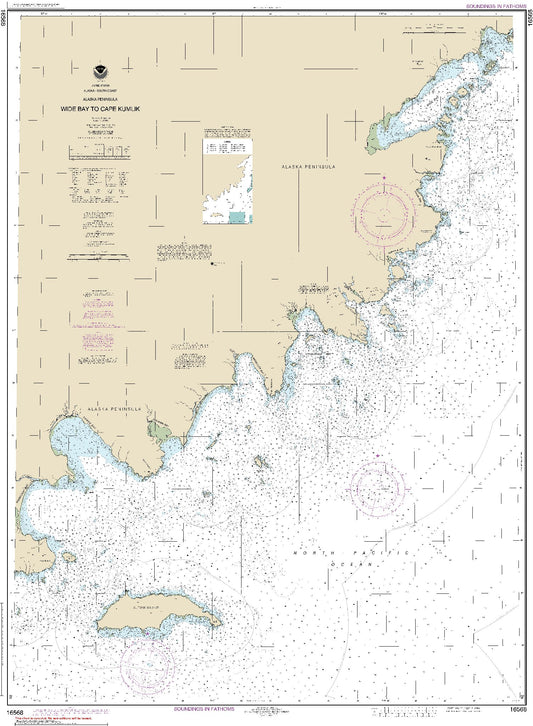 Wide Bay to Cape Kumlik (16568) by NOAA