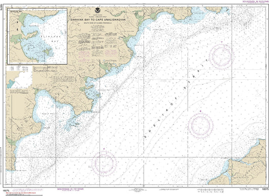 Dakavak Bay to Cape Unalishagvak (16575) by NOAA