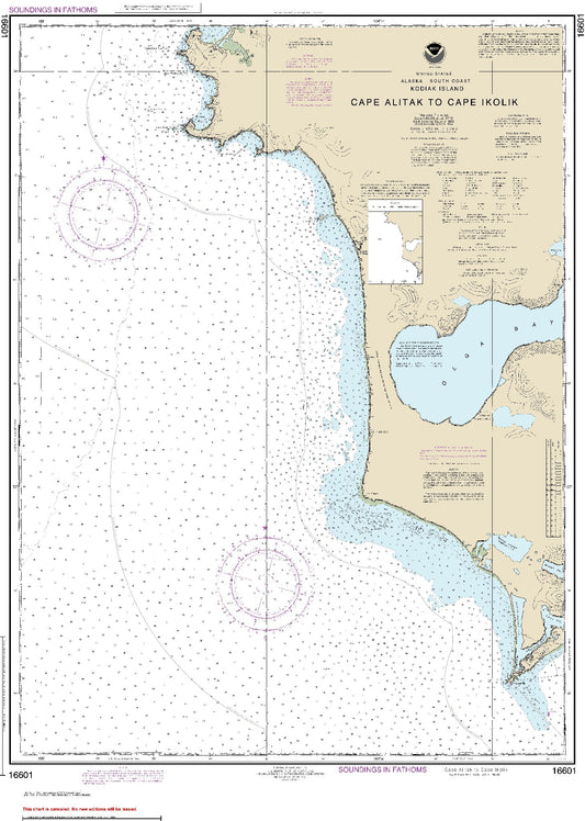 Cape Alitak to Cape Ikolik (16601) by NOAA