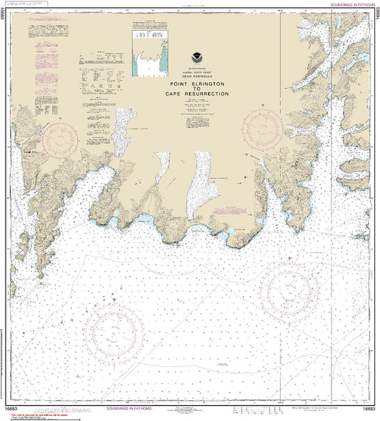 Point Elrington to Cape Resurrection (16683) by NOAA