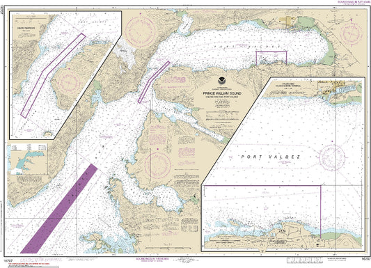 Valdez Arm and Port Valdez (16707) by NOAA