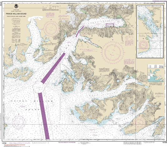 Port Fidalgo and Valdez Arm (16708) by NOAA