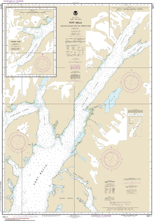 Port Wells Including College and Harriman Fiords (16711) by NOAA