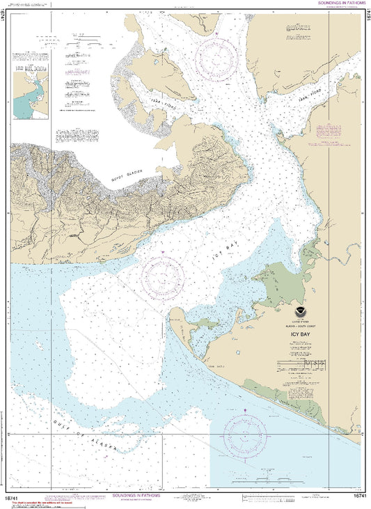Icy Bay (16741) by NOAA