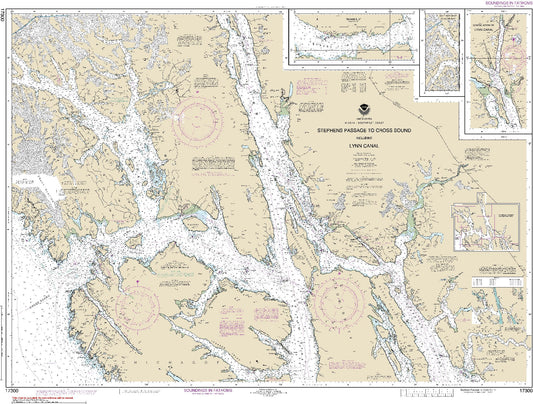 Stephens Passage to Cross Sound (17300) by NOAA