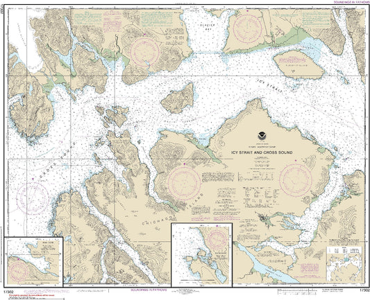 Icy Strait and Cross Sound (17302) by NOAA