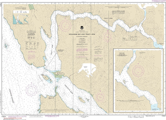 Holkham Bay and Tracy Arm (17311) by NOAA