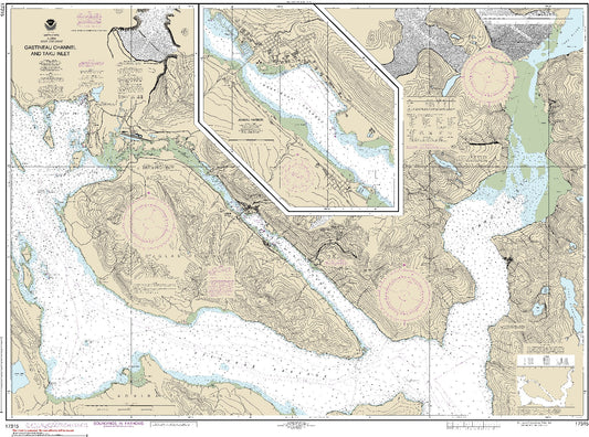 Gastineau Channel and Taku Inlet (17315) by NOAA