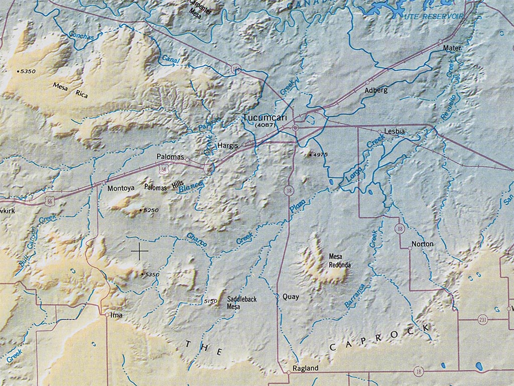 New Mexico Elevation Tints Fine Art Print Map