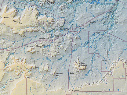 New Mexico Elevation Tints Fine Art Print Map