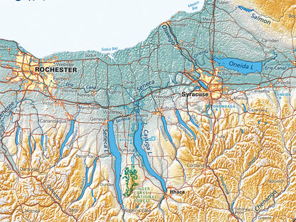 New York in Context Elevation Tints Fine Art Print Map