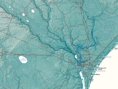 North Carolina Elevation Tints Fine Art Print Map