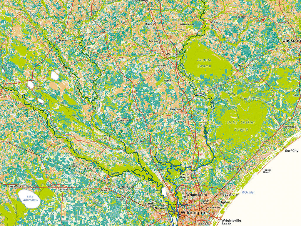 North Carolina Land Cover Fine Art Print Map