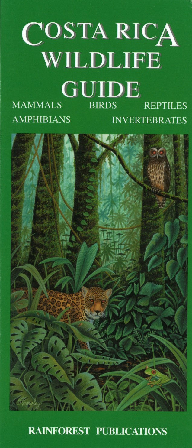 Costa Rica Wildlife Guide