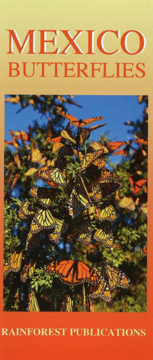 Mexico Butterflies: Fold-out Guide