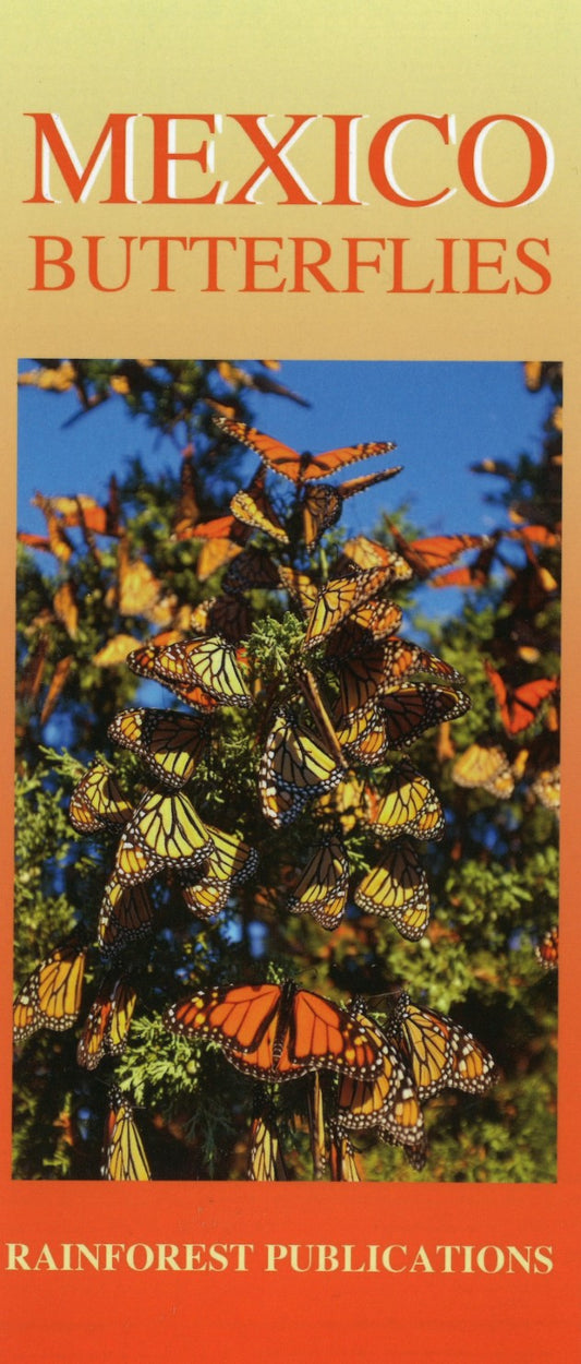 Mexico Butterflies: Fold-out Guide