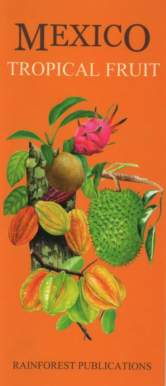 Mexico Tropical Fruit Guide