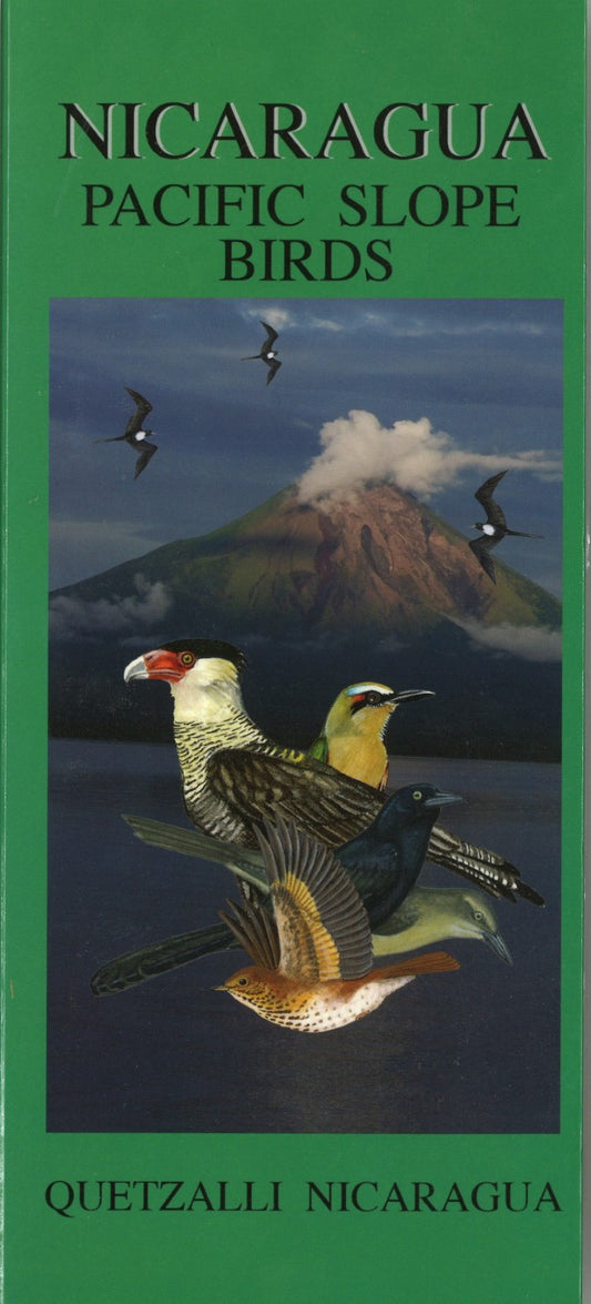 Nicaragua : Pacific Slope Birds