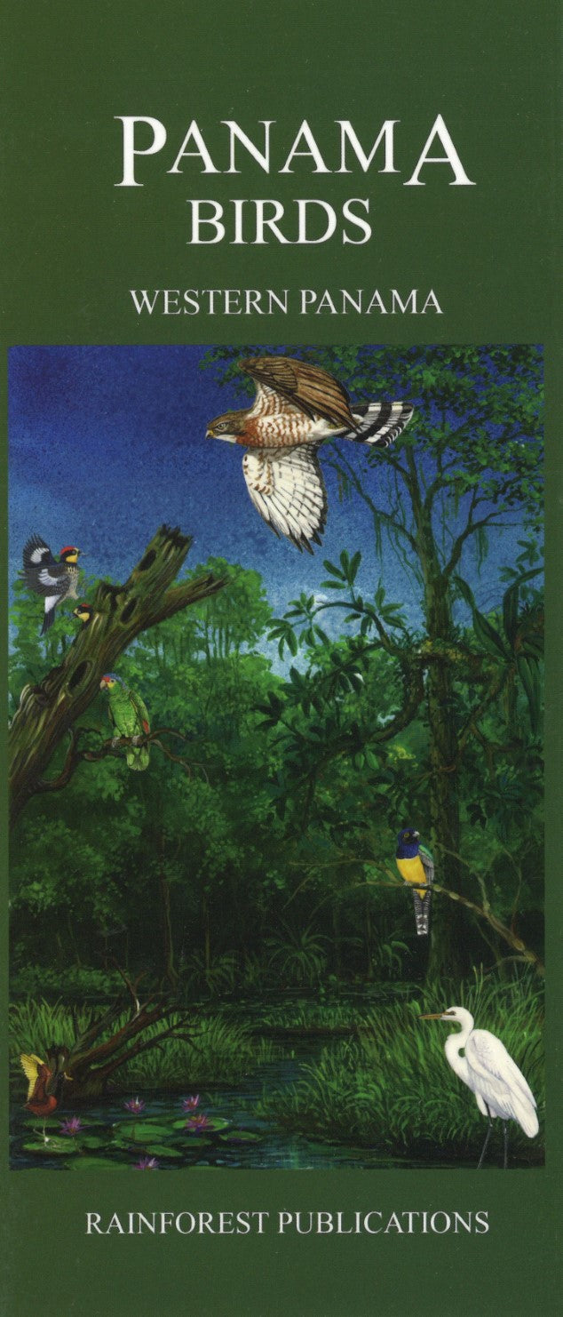 Panama Birds: Western Panama