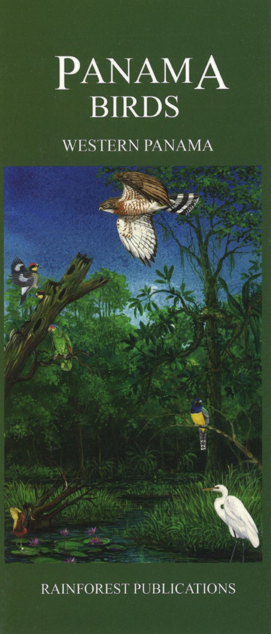 Panama Birds: Western Panama