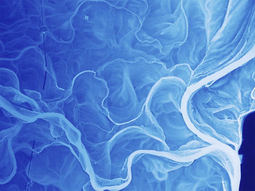 River Meanders Elevation Tints Fine Art Print Map