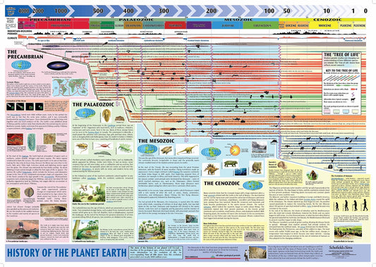 History of the Planet Earth Poster