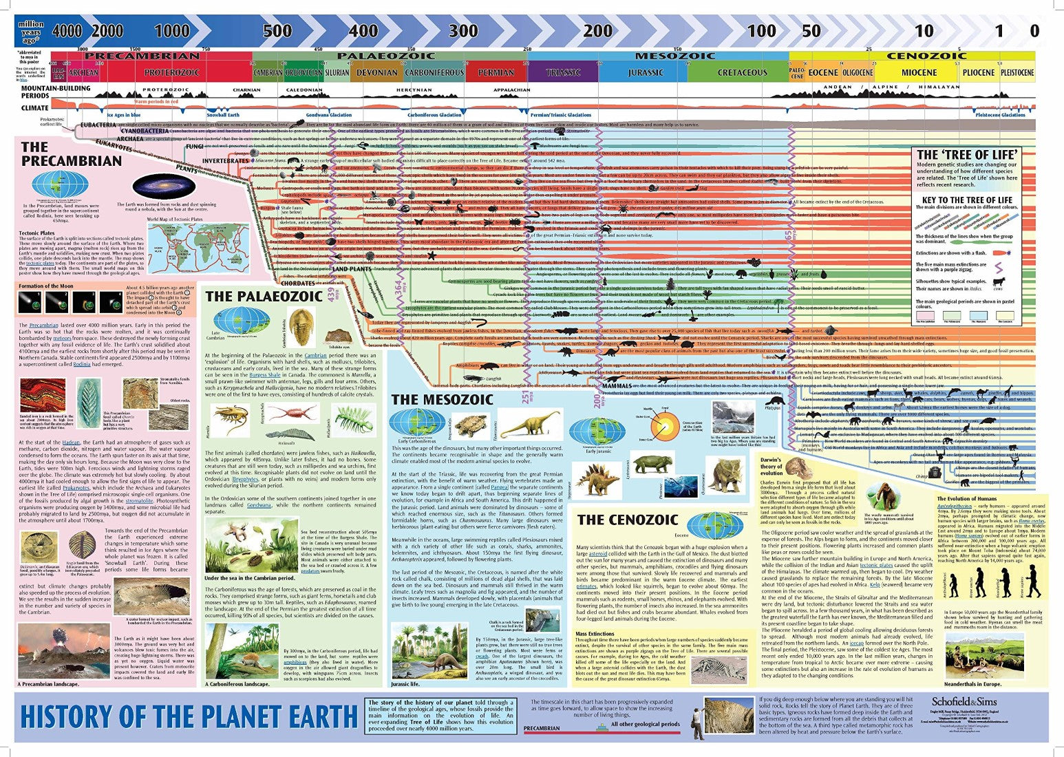 History of the Planet Earth Poster