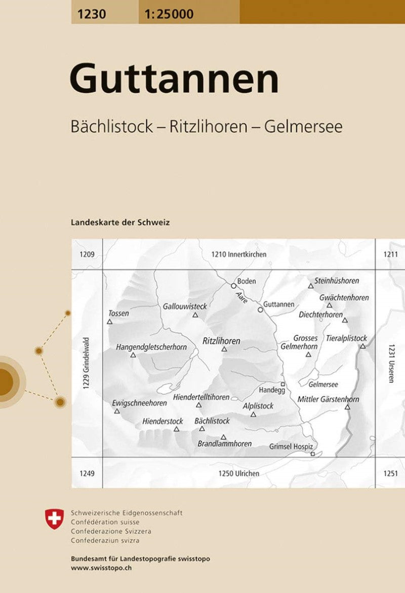 Guttannen : Switzerland 1:25,000 Topographic Map #1230