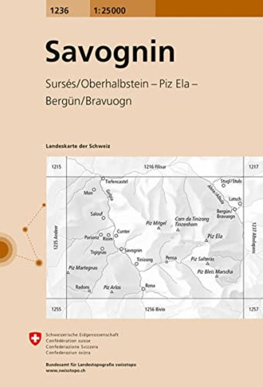 Savognin : Switzerland 1:25,000 Topographic Map #1236