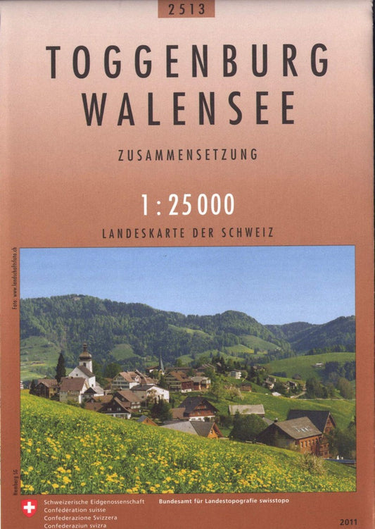 Toggenburg - Walensee : Switzerland 1:25,000 Combination Topographic Map #2513