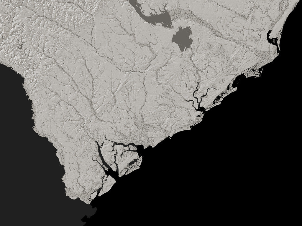South Carolina Archival Print