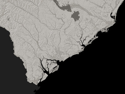 South Carolina Archival Print