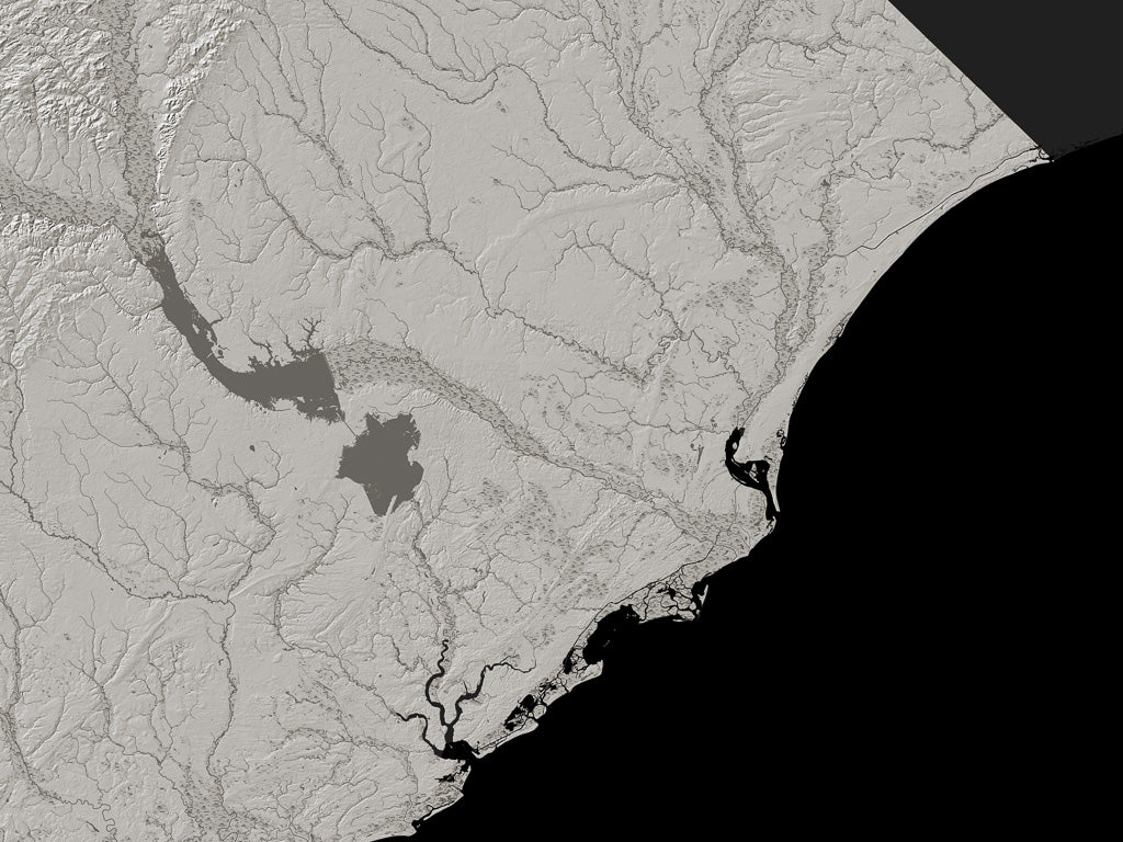 South Carolina Archival Print