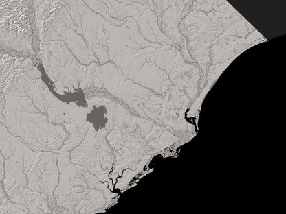 South Carolina Archival Print